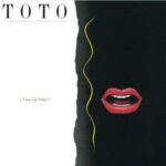 TOTO-Stranger In Town