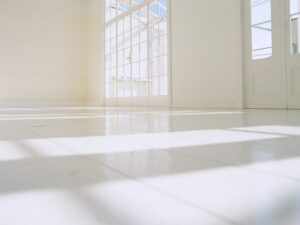 アイロボット（iRobot）公式オンラインストアで購入するなら『このポイントサイト』を経由しよう！