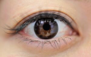 LENSMODE(レンズモード)で購入するなら『このポイントサイト』を経由しよう！