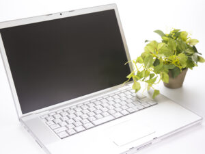 ASUS Store（エイスース ストア）で購入するなら『このポイントサイト』を経由しよう！